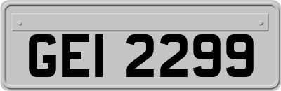 GEI2299