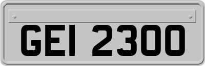 GEI2300