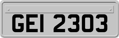 GEI2303