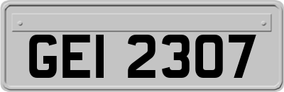 GEI2307