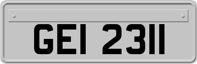 GEI2311