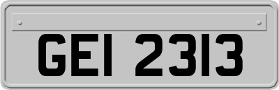 GEI2313