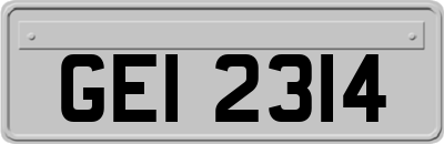 GEI2314