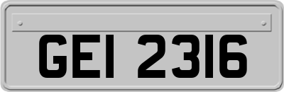 GEI2316
