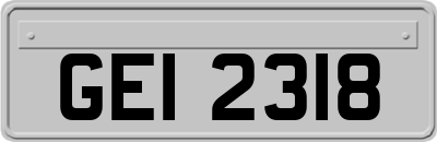 GEI2318