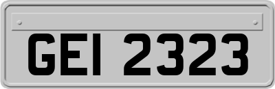 GEI2323