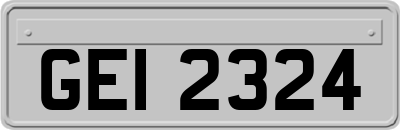 GEI2324