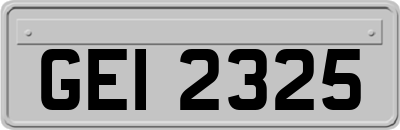 GEI2325