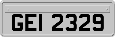 GEI2329