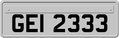 GEI2333