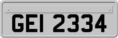 GEI2334