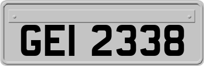 GEI2338