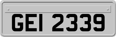 GEI2339
