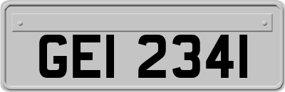 GEI2341