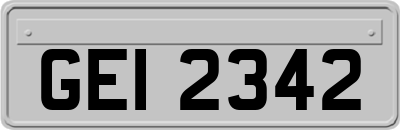 GEI2342