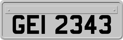 GEI2343