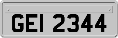 GEI2344