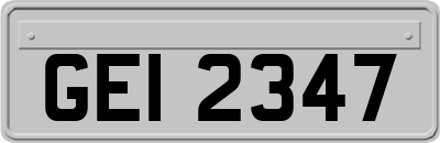 GEI2347