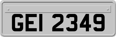 GEI2349