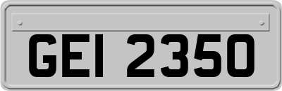 GEI2350