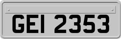 GEI2353