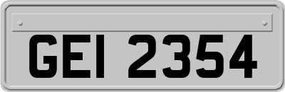 GEI2354