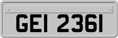 GEI2361