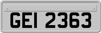GEI2363