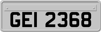 GEI2368