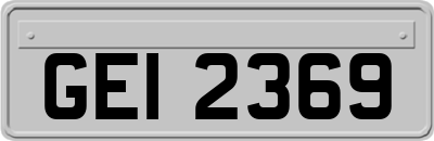 GEI2369