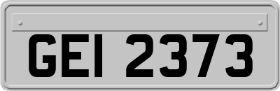 GEI2373
