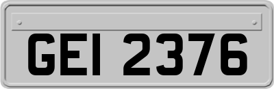 GEI2376