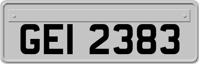 GEI2383