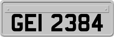 GEI2384