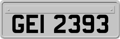GEI2393