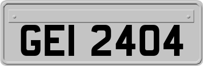 GEI2404