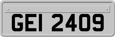 GEI2409