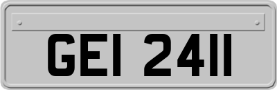 GEI2411