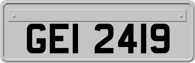 GEI2419