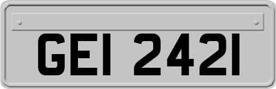 GEI2421