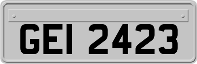 GEI2423