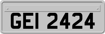 GEI2424