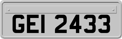GEI2433