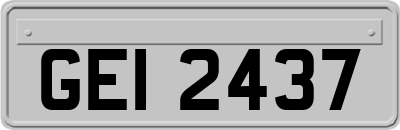 GEI2437