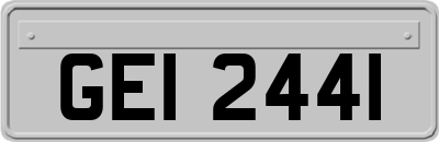 GEI2441