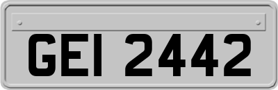 GEI2442