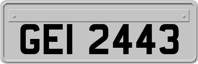 GEI2443
