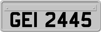 GEI2445
