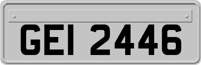 GEI2446