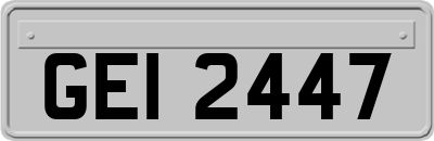 GEI2447